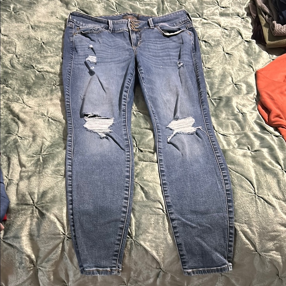 Torrid Distressed Blue Jeans